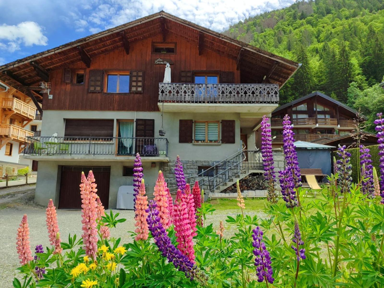 Appartement Meuble Classe 3 Etoiles De 72 M2, 2 Chambres Morzine Luaran gambar